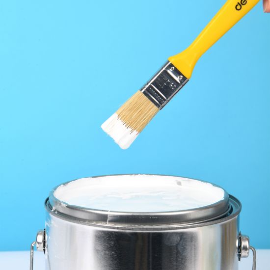 Četka plastična 25mm DELI Ekonomik EDL509111